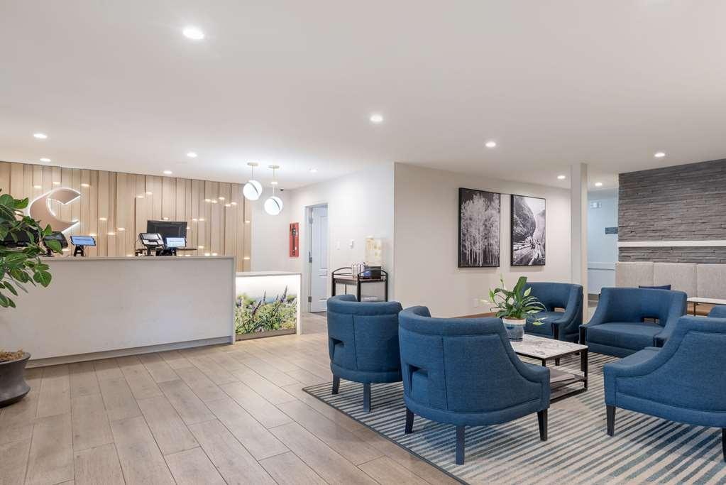Comfort Inn & Suites Carbondale On The Roaring Fork מראה פנימי תמונה
