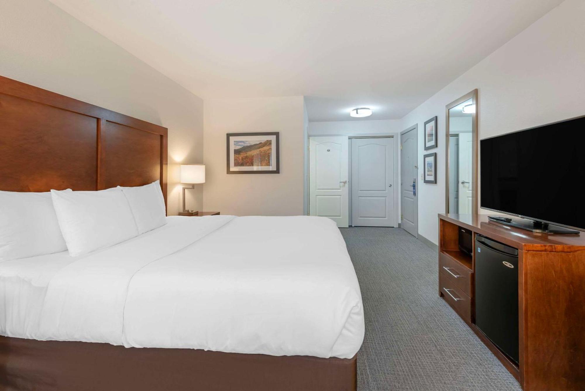 Comfort Inn & Suites Carbondale On The Roaring Fork מראה חיצוני תמונה
