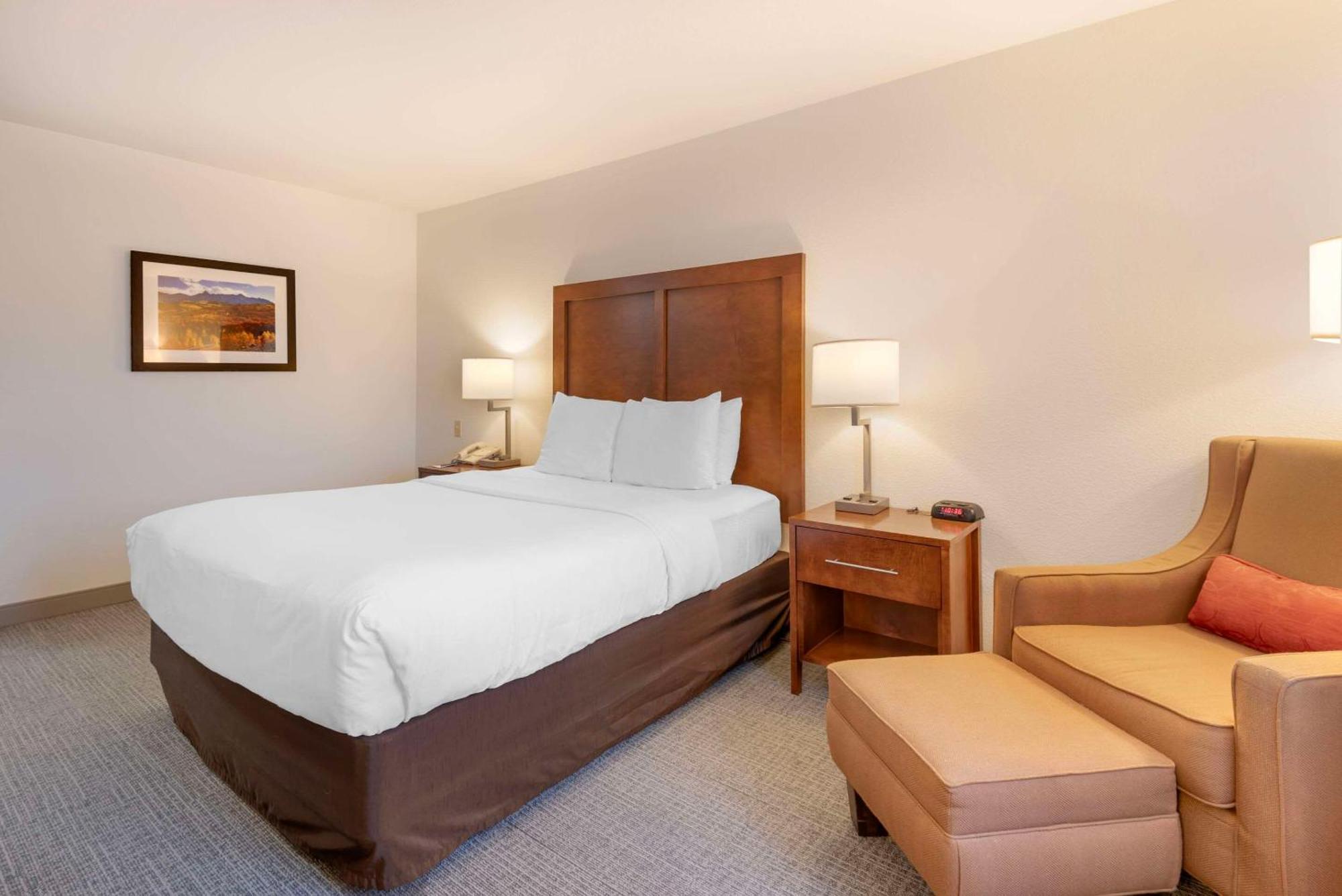 Comfort Inn & Suites Carbondale On The Roaring Fork מראה חיצוני תמונה